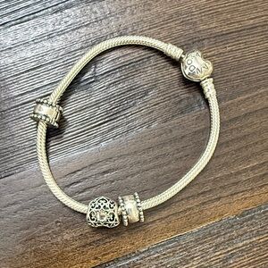 Pandora Silver Bracelet with Intricate Charms